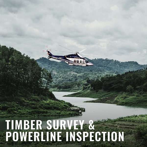 timber_survey_powerline